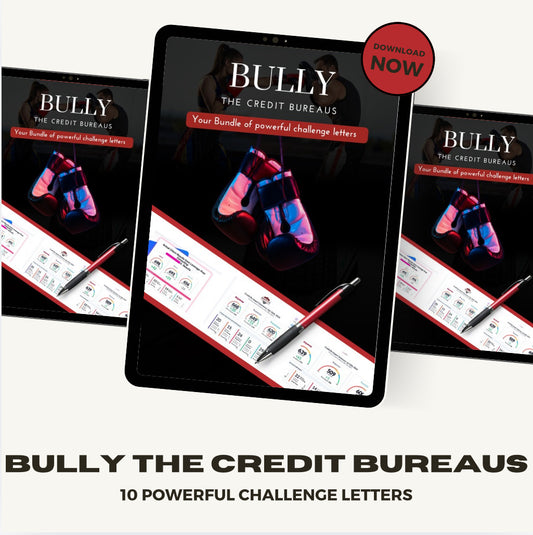 Bully The Bureaus